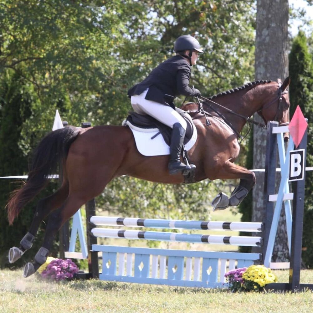 Meet your Posher, Lynette